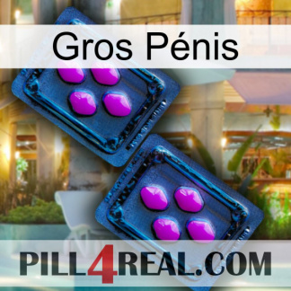 Gros Pénis 03